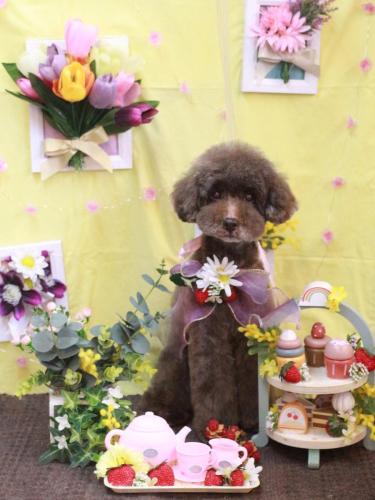 20230323きょうのちゃん